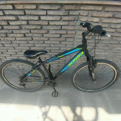 Alpina 29 Μαύρο Mountain Bike με Ταχύτητες
